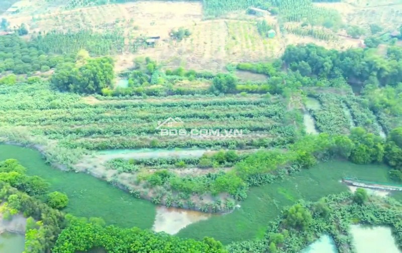 Bán 29.000m2 Đất Tại Ấp 2, Xã Thanh Hòa, Huyện Bù Đốp, Tỉnh Bình Phước.