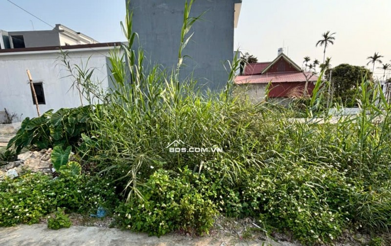 Chính Chủ Bán Đất - Ô Tô Vào Tận Đất Tại khu vực Hy Tái, Hồng Thái, An Dương. Sổ Đỏ Chính Chủ