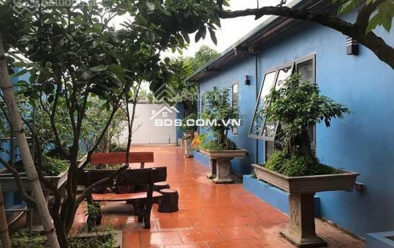 Cho thuê lâu dài nhà vườn tại Đông La 520m2. 3PN, full đồ cao cấp, 15tr/tháng, gần Tố Hữu, gần công viên, hồ điều hòa