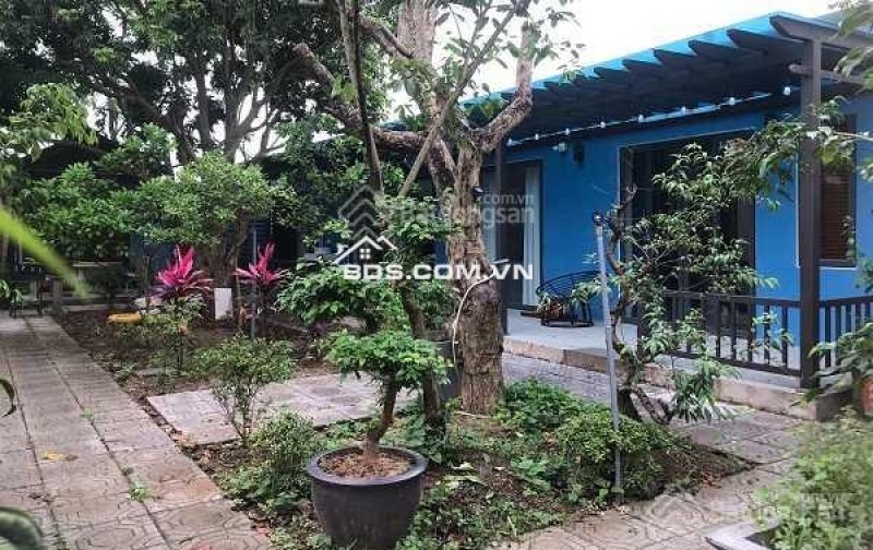 Cho thuê lâu dài nhà vườn tại Đông La 520m2. 3PN, full đồ cao cấp, 15tr/tháng, gần Tố Hữu, gần công viên, hồ điều hòa