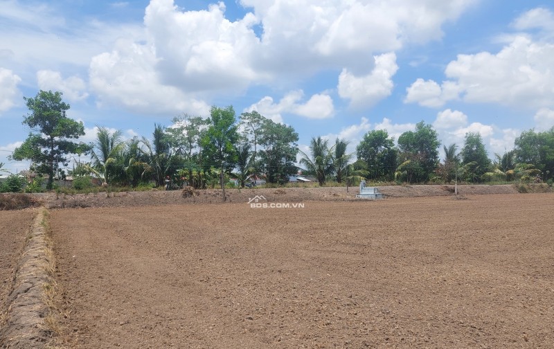 Chính chủ hạ giá bán gấp 501m MT Kênh Full Thổ Cư X.Mỹ Lệ H.Cần Đước chỉ 1,8 tỷ