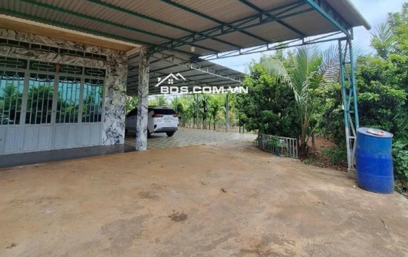 Bán 6.000m² Đất Trang Trại - Khu Nghỉ Dưỡng tại Đường Lý Chính Thắng, P.chi Lăng, Pleiku, Gia Lai