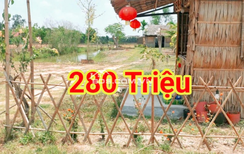 280 Triệu sang Tên 1000m2 có Thổ Cư, Gần DT 818, mỗi tháng trả thêm 3 triệu