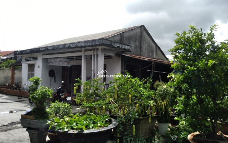 MẠI DZÔ!!! MẠI DZÔ!!! BÁN ĐẤT NHƠN TRẠCH DIỆN TÍCH LỚN, GIÁ RẺ ( Mời a chị e môi giới )