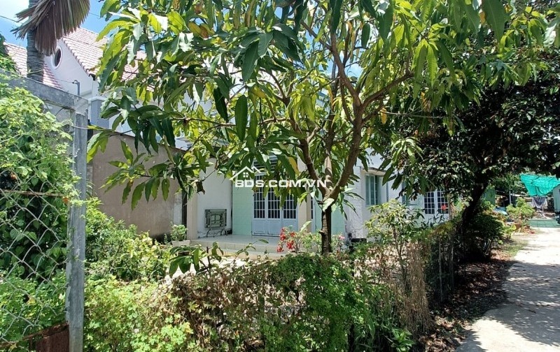 BÁN ĐẤT FULL THỔ CƯ VUÔNG VỨC SIÊU RỘNG CHỈ 50TR/M2 - NGAY TẠI GÒ CÁT- PHÚ HỮU