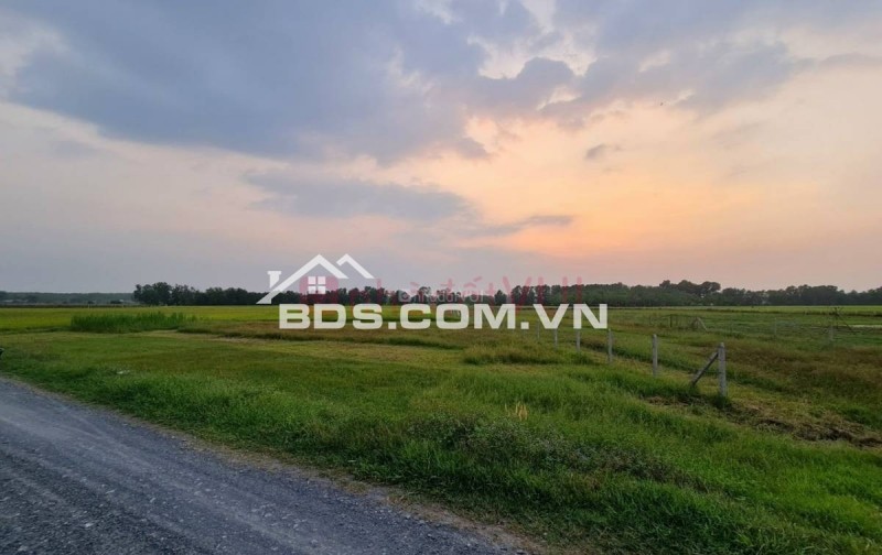 Bán đất nông nghiệp tại đường Phú Thuận (lộ giới 12m), thuộc xã Phú Mỹ Hưng, huyện Củ Chi, TP.HCM