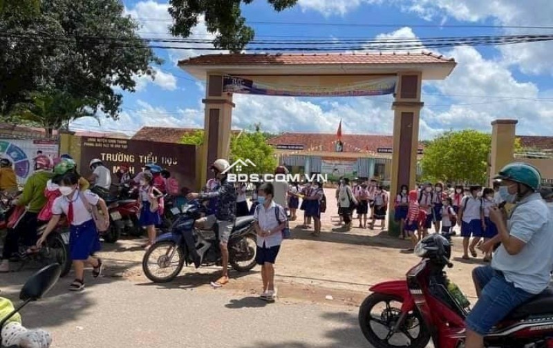 BÁN GẤP 6 LÔ (30X40)=1200M ĐẤT T.CƯ LIỀN KỀ, SỔ RIÊNG GẦN QL 13 SÁT CHỢ. GIÁ 290TR/SỔ