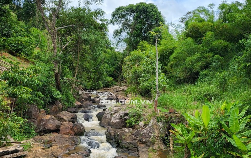 Người đẹp Đắk Song - miếnh đất 2ha bên suối hoang sơ và kỳ vĩ