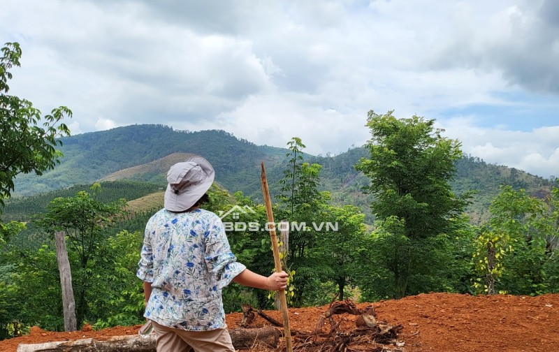 Người đẹp Đắk Song - miếnh đất 2ha bên suối hoang sơ và kỳ vĩ