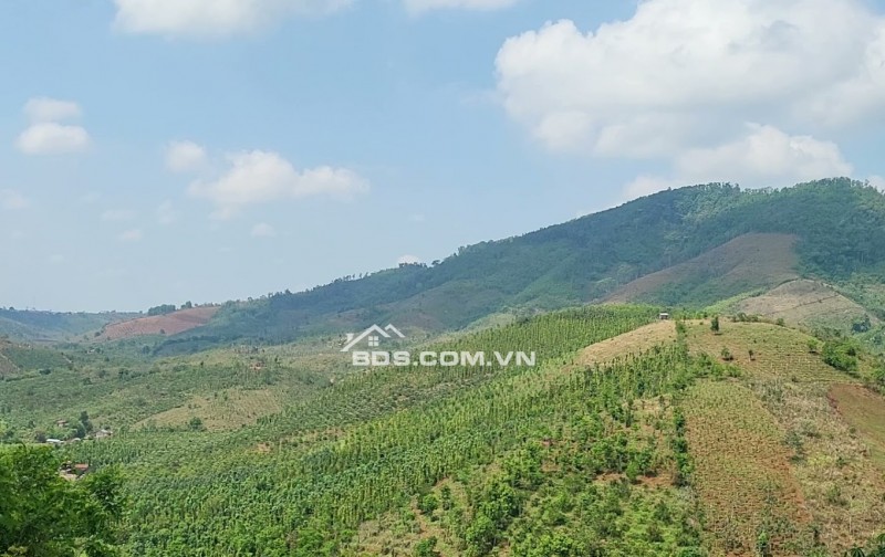 Người đẹp Đắk Song - miếnh đất 2ha bên suối hoang sơ và kỳ vĩ