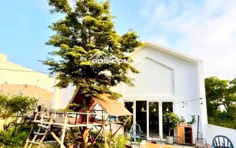 Tòa căn hộ 6 tầng -Thang máy -Dòng tiền 50 triệu tháng - Gần biển -Giá chỉ 9,5 tỷ