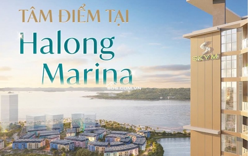 BÁN CĂN HỘ SKY M HẠ LONG - STUDIO - 31M2 - 1.5 TỶ - VỊ TRÍ VÀNG BÃI CHÁY