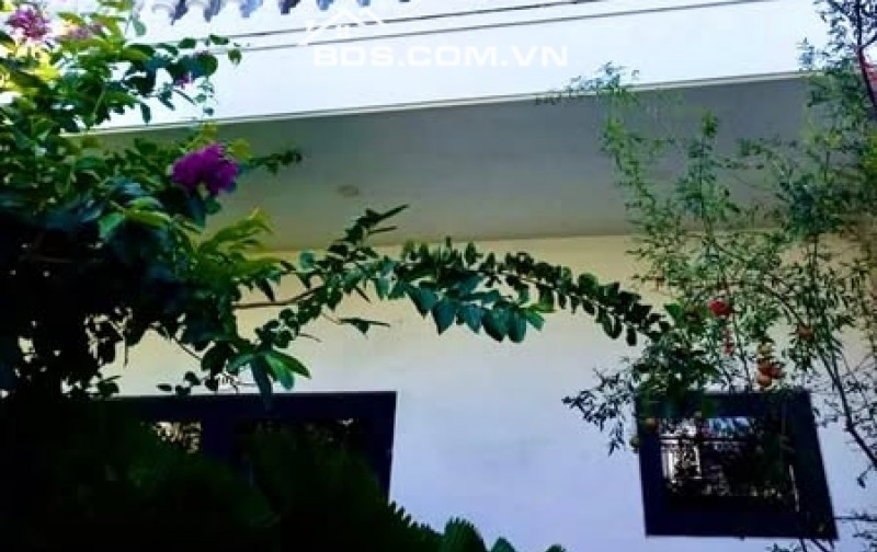 HOMESTAY FULL KHÁCH TÂY – DÒNG TIỀN ỔN ĐỊNH 50TR/THÁNG- TRẦN NHÂN TÔNG ,HỘI AN.