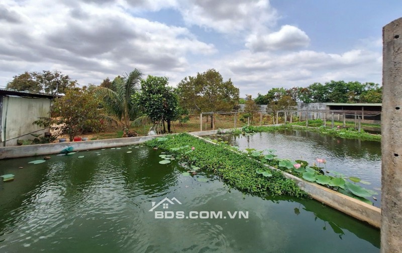Bán 6.000m² Đất Trang Trại - Khu Nghỉ Dưỡng tại Đường Lý Chính Thắng, P.chi Lăng, Pleiku, Gia Lai