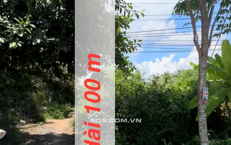 BÁN ĐẤT ĐẸP TẠI AN TRƯỜNG, CÀNG LONG, TRÀ VINH, 4700M2 CHỈ 250TR/1M NGANG. LH:0966397739