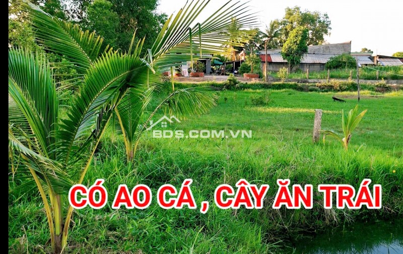 280 Triệu sang Tên 1000m2 có Thổ Cư, Gần DT 818, mỗi tháng trả thêm 3 triệu