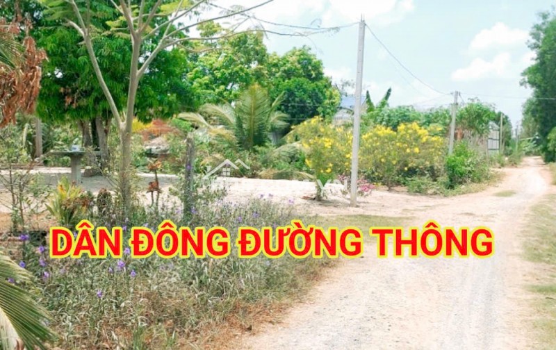 280 Triệu sang Tên 1000m2 có Thổ Cư, Gần DT 818, mỗi tháng trả thêm 3 triệu