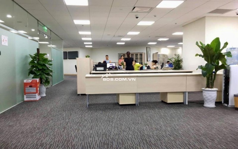 AI Bán nhà 228m², 7 tầng, Lý Thường Kiệt, Tân Bình, 85 tỷ, sổ đỏ