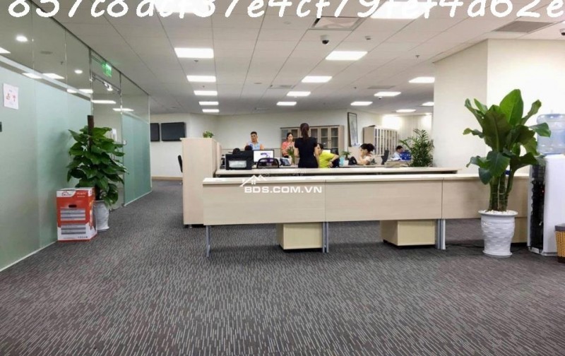 AI Bán nhà 228m² Lý Thường Kiệt, Tân Bình, 90 tỷ, sổ đỏ