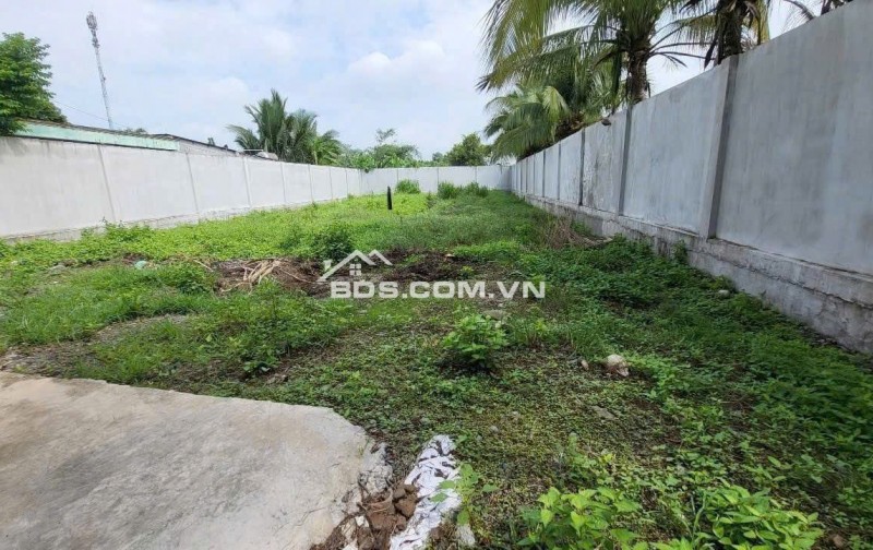 BÁN ĐẤT MT ĐƯỜNG NHỰA 14M PHƯỚC VĨNH AN - SHR CÔNG CHỨNG NGAY - GIÁ CHỈ 2TY8