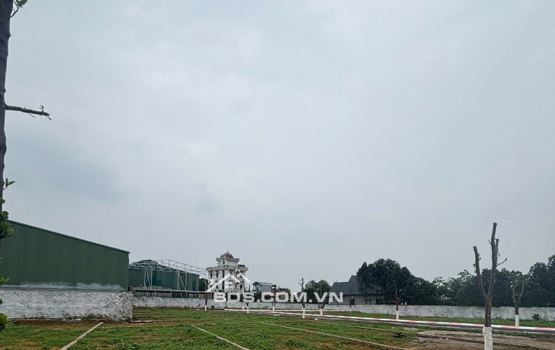 GẤP GẤP BÁN NHANH LÔ ĐẤT CỰC ĐẸP TẠI CỔ ĐÔNG SƠN TÂY HÀ NỘI