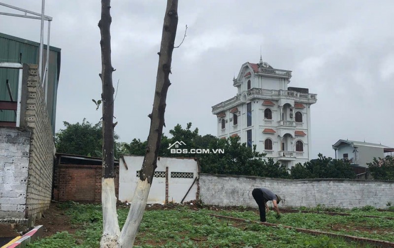 GẤP GẤP BÁN NHANH LÔ ĐẤT CỰC ĐẸP TẠI CỔ ĐÔNG SƠN TÂY HÀ NỘI