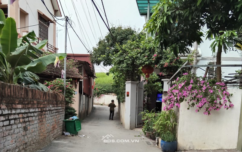 Cần bán mảnh thổ cư Tiền Yên gần vành đai 4 Đại lộ Thăng Long