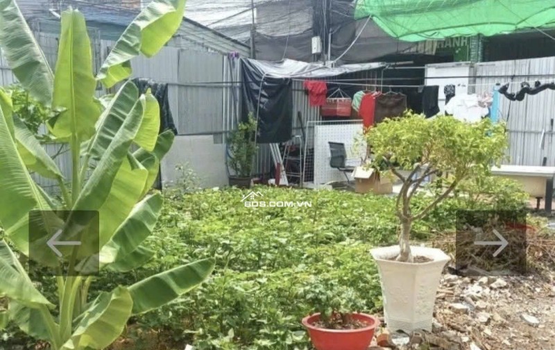 Bán đất dĩ an bình dương