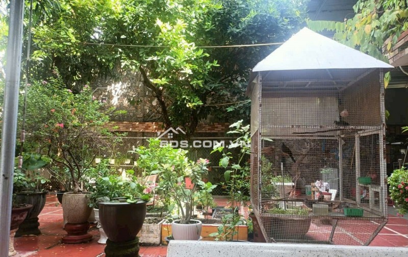Căn nhà sân vườn phù hợp để nghỉ dưỡng ngay trung tâm Hải Châu, TP. Đà Nẵng