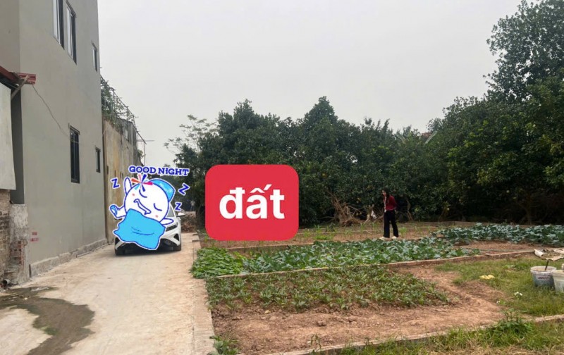 Bán 54.7m. Cụm 2 thọ an. Đan phượng. Hà nội. Giá 2.899tr