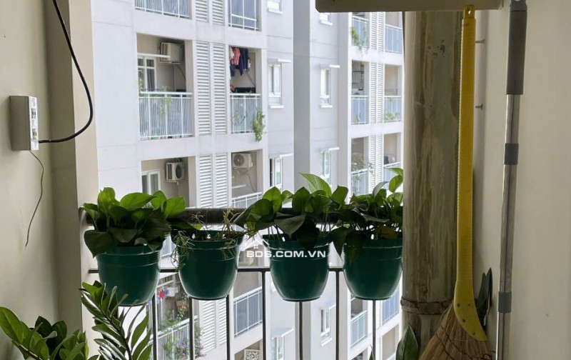 Cho thuê căn hộ chung cư An Phú, đường Hậu Giang, p11, quận 6, TP.Hồ Chí Minh