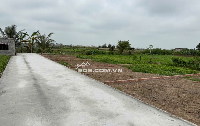 CHÍNH CHỦ CẦN BÁN CẮT LỖ LÔ SIÊU ĐẸP-GIÁ NHỈNH TỶ CHO CÁC NHÀ ĐẦU TƯ
