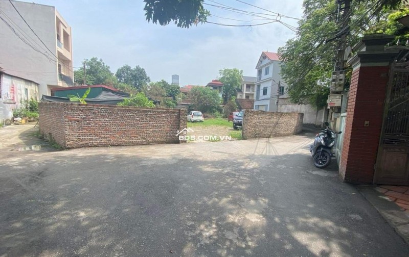 bán 700m đất trồng cây lâu năm tại Cổ Loa - Đông Anh - Hà Nội
