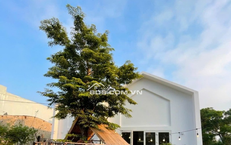 NHÀ 3 TẦNG KIÊN CỐ - MT NGÔ QUYỀN -  SHOPHOUSE ĐẤT XANH MIỀN TRUNG - VỈA HÈ 4.5M - DÒNG TIỀN 15TR/THÁNG