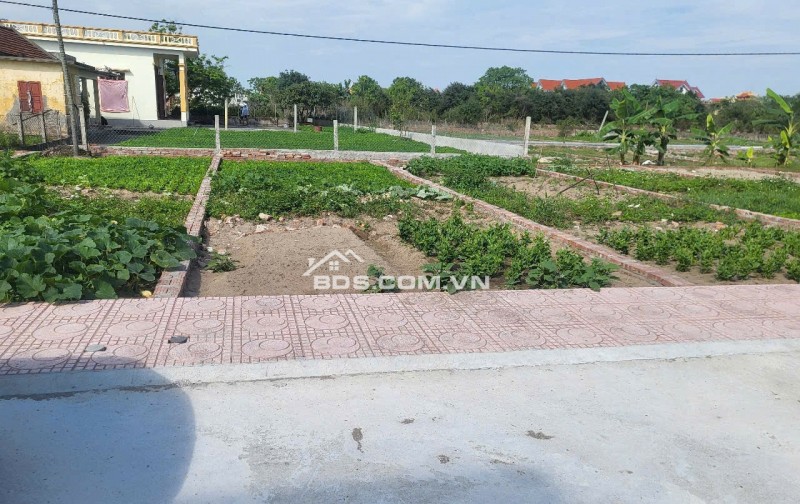 Bán Gấp lô đất tại Quất Lâm Nam ĐỊnh vị trí cực đẹp