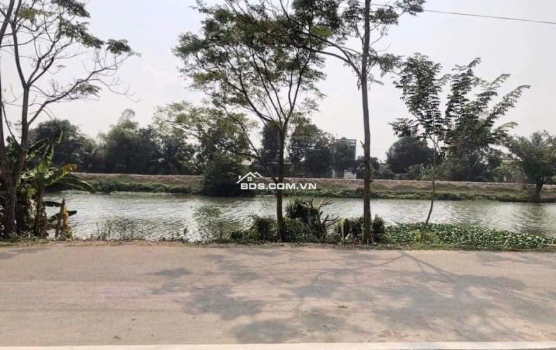 Bán 2750m2 đất mặt sông siêu đẹp Vàm Cỏ Tây, Thạnh Hoá, Long An, đường ô tô tận nơi