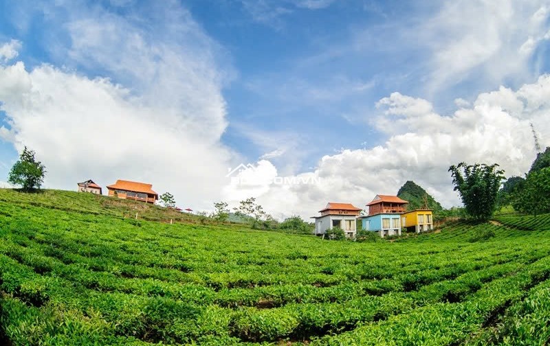 CHÍNH CHỦ CẦN VỐN KINH DOANH BÁN ĐẤT