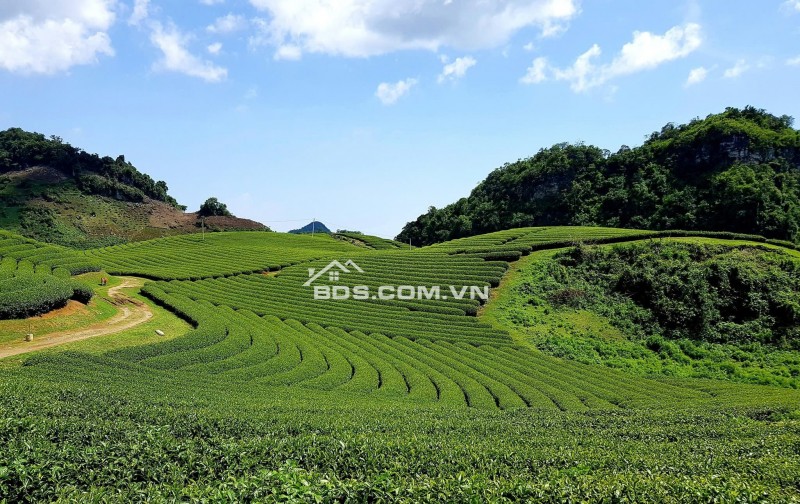 CHÍNH CHỦ CẦN VỐN KINH DOANH BÁN ĐẤT