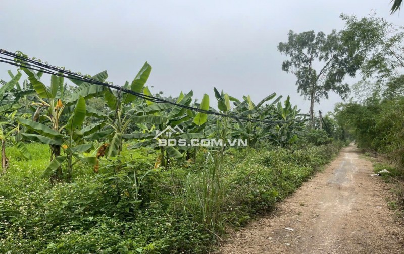 CHÍNH CHỦ CẦN BÁN GẤP LÔ ĐẤT VỊ TRÍ ĐẸP BÁM MẶT SÔNG HÒA BÌNH – CƠ HỘI VÀNG CHO NHÀ ĐẦU TƯ