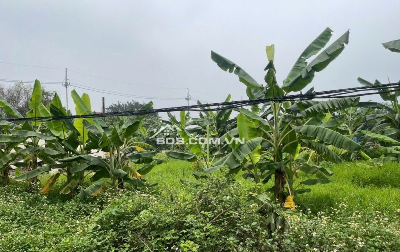 CHÍNH CHỦ CẦN BÁN GẤP LÔ ĐẤT VỊ TRÍ ĐẸP BÁM MẶT SÔNG HÒA BÌNH – CƠ HỘI VÀNG CHO NHÀ ĐẦU TƯ