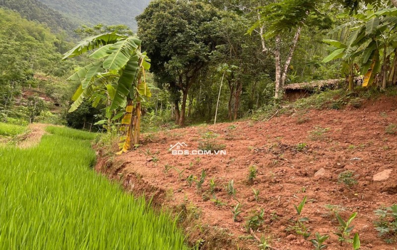 Gia đình cần bán gấp mảnh 1500m trong đó có 300m thổ cư,còn lại là đất vườn tại Bao La,Mai Châu,Hoà Bình