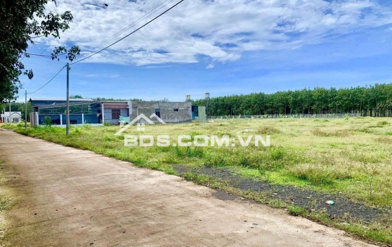 VỠ NỢ BÁN GẤP 2183M2 ĐẤT NGAY QL13 THÔNG RA KCN, SÁT CHỢ DÂN ĐÔNG TIỆN XÂY TRỌ. GIÁ 160TR