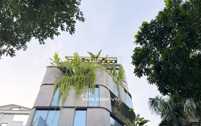 Bán nhà gần Mặt phố Liễu Giai - Đào Tấn - Linh Lang 136m² - Giá 48 tỷ