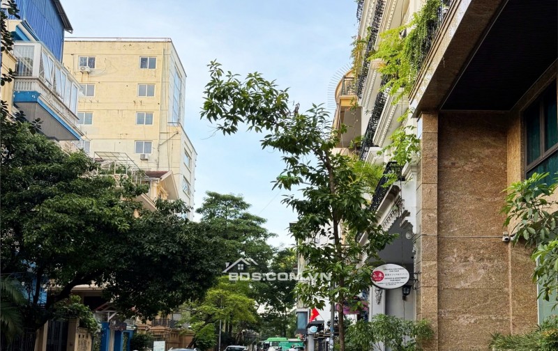 Bán nhà gần Mặt phố Liễu Giai - Đào Tấn - Linh Lang 136m² - Giá 48 tỷ