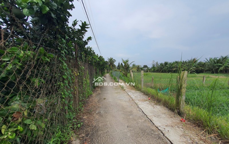 Đất 6x30m ĐH89 vô 50m Giá 3xx triệu