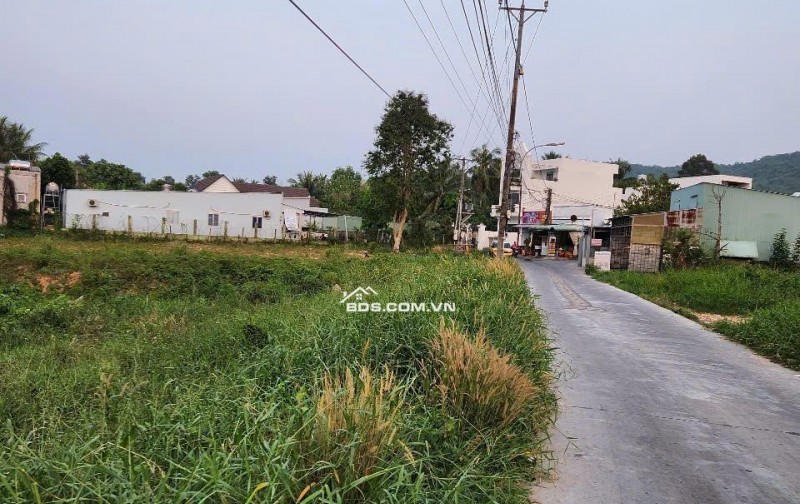 5400m² Đất Mặt Tiền Chùa Ông, Suối Đá – Phù Hợp Làm đầu tư