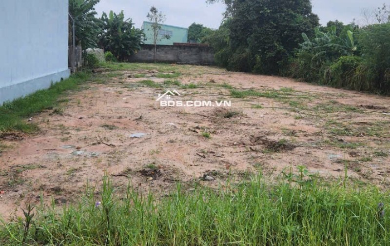 Ngộp bank. Bán gấp 1100m2 full thổ, đường Nguyễn Thị Lắng, Tân Phú Trung, Củ Chi.