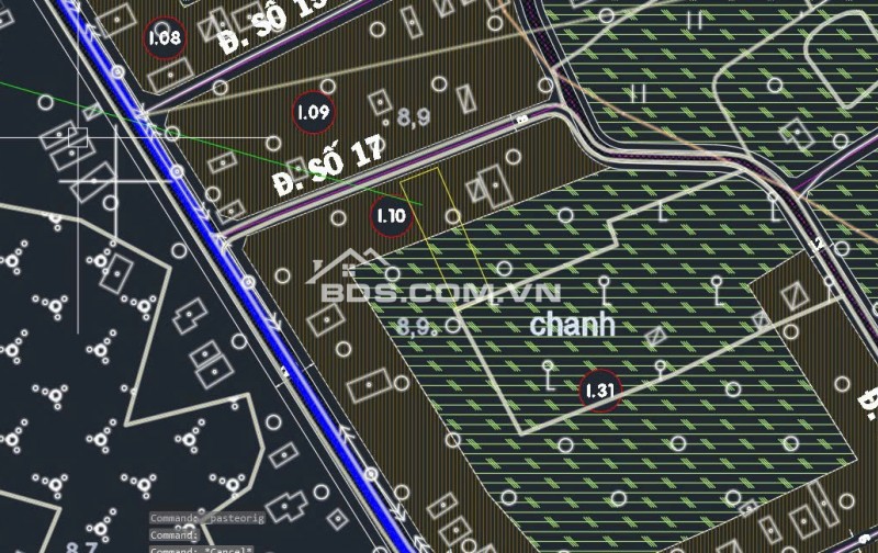 Ngộp bank. Bán gấp 1100m2 full thổ, đường Nguyễn Thị Lắng, Tân Phú Trung, Củ Chi.