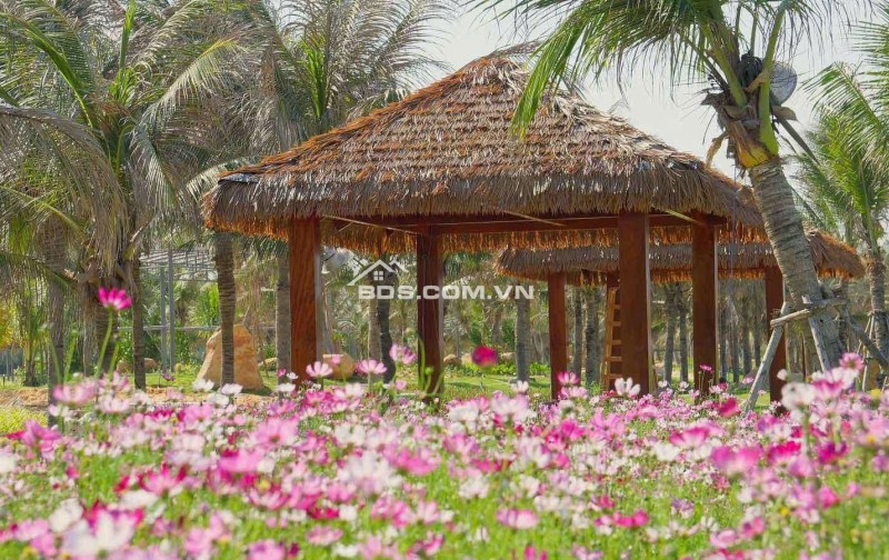 BÁN BIỆT THỰ GOLF VIEW BIỂN DỰ ÁN CARA WORLD CAM RANH - DT: 458m2 + 16m2 SÂN VƯỜN GIÁ 29TY