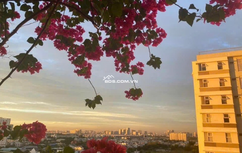 BÁN CĂN HỘ CHUNG CƯ FUJI – PHƯỚC LONG B, THỦ ĐỨC – FULL NỘI THẤT, VIEW 2 MẶT THOÁNG